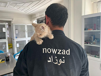 Nowzad - Afghanistan